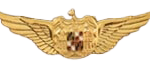 WING-1S