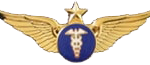 WING-2S
