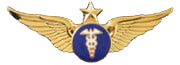 WING-2S