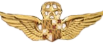 WINGS-3S
