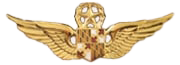 WINGS-3S