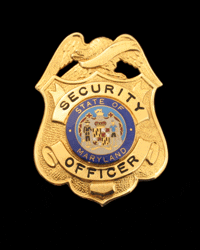 A119 badge design