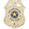 STONECREEK POLICE Badges