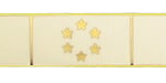 COMD21 Badge Design
