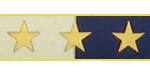COMD29 Police Badge Design