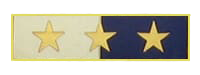COMD29 Police Badge Design