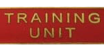 COMD38 Police Badge Design