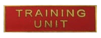COMD38 Police Badge Design