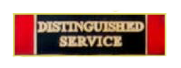 COMD40 Police Badge
