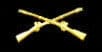 Crossed Rifles
