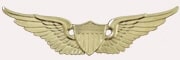 Wings-1