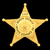 Star Badge