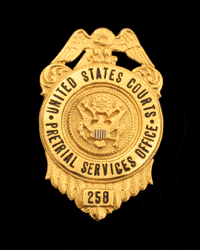 Police Badge