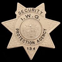 SECURITY OFFICER SILVER 7-POINT STAR BADGE