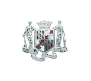 341-fcs Badge Design