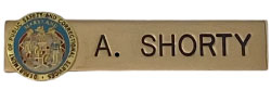 DEPARTMENT OF PUBLIC SAFETY NAME PLATE