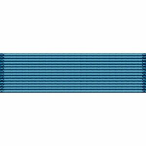 Cloth blue Ribbon Bars