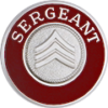 2 pc title collar device - sergeant