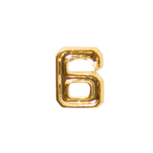 6-WEB