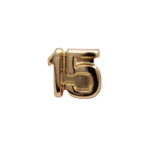 15 web