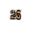 25-web