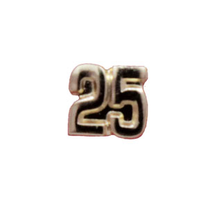 25-web