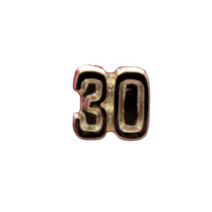 30-web