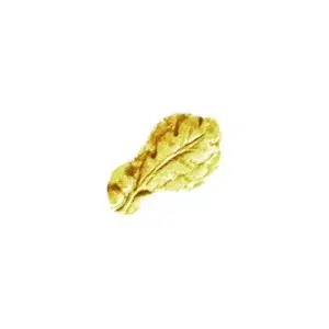 oakleaf