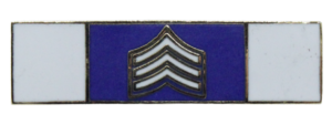COMM-SGT WEB-01