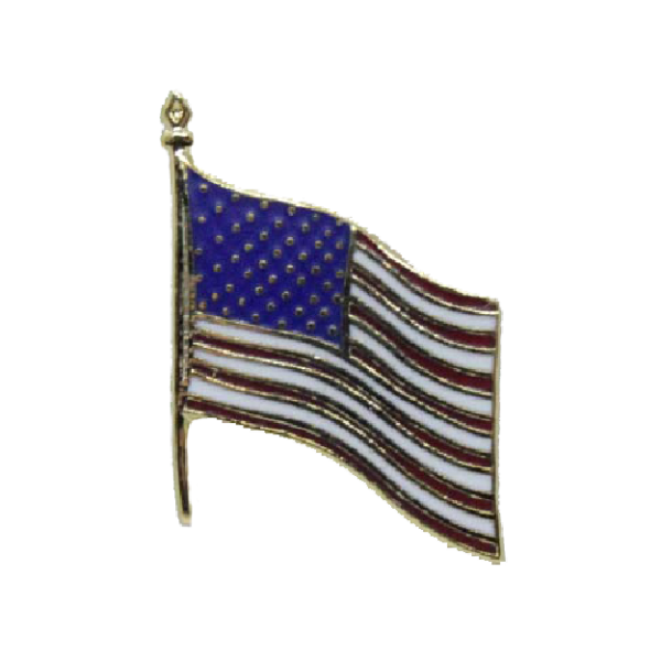 US FLAG LARGE WEB