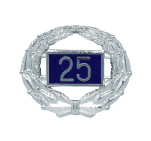 SW 25 BLUE RYAN WEB 2