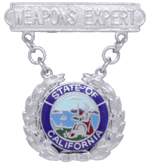 WEAPONS EXPERT <br /> Raised Lettering No Enamel